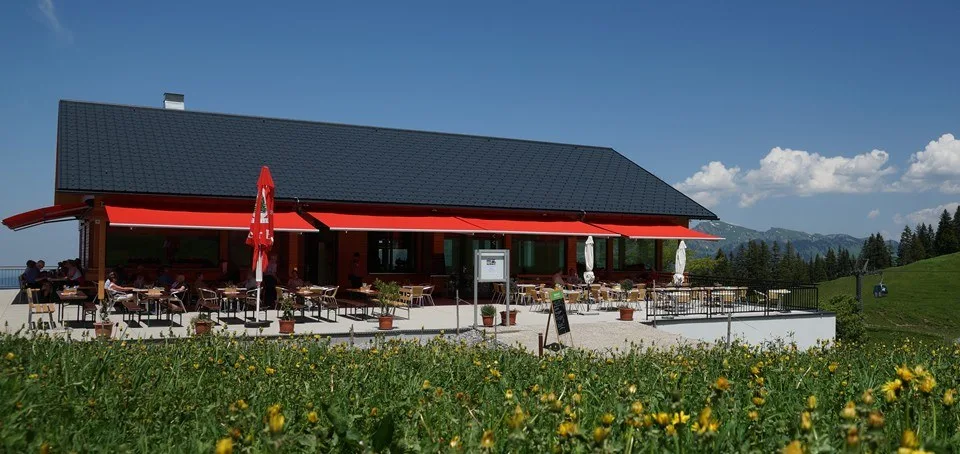 Das Haus mit Terrasse über einer Blumenwiese im Frühsommer