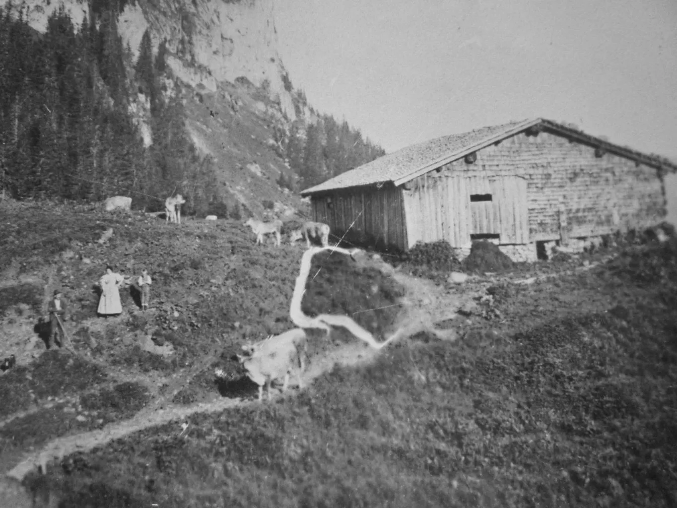 Historische Schwarzweißaufnahme der alten Alphütte auf der Rossstelle mit dem Weg und weidenden Tieren